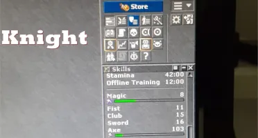 Master Sorcerer 163 + 3 Characters