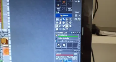 Master Sorcerer 163 + 3 Characters