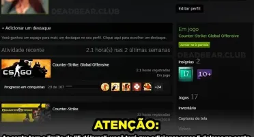 Steam 17 anos 2003