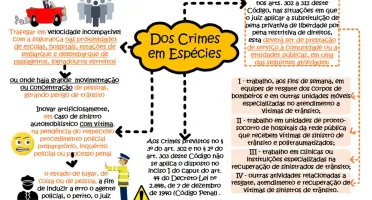 66 Mapas Mentais Ctb Para Concursos Públicos