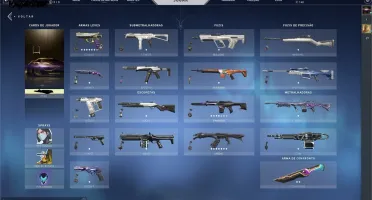 Valorant Platina 1 Skin Ancifogo e outras