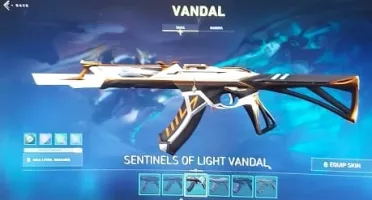 Conta imortal+skins+Todos os agentes+71 Cards