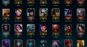 Conta Platina V