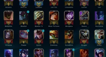 Conta Platina V