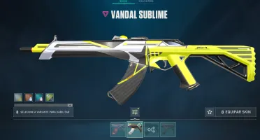 Conta Valorant várias Skins 1300 GASTOS
