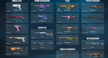 Conta Valorant várias Skins 1300 GASTOS