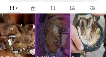 Conta Tiktok Monetizada