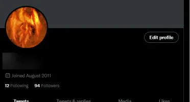 CONTA TWITTER OLD COM GIF NA FOTO DE PERFIL