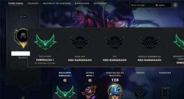 Esmeralda 1 com 70 Champs e 9 Skins