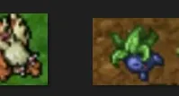 Bot Catch Pxg/Otp