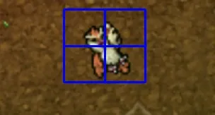 Bot Catch Pxg/Otp