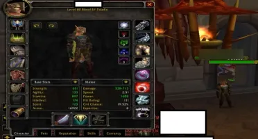 Paladin Fresh 80 Icecrown Warmane - Horda