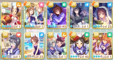 Uma Musume com Kitasan nv50 e classe 6 no Team Trial