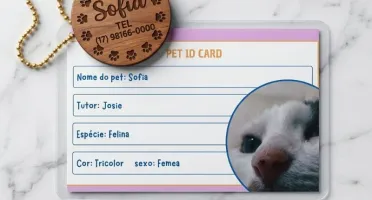 Kit Pet Personalizado com RG e Plaquinha