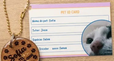 Kit Pet Personalizado com RG e Plaquinha