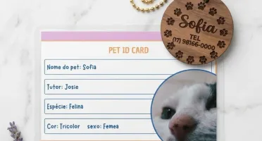 Kit Pet Personalizado com RG e Plaquinha