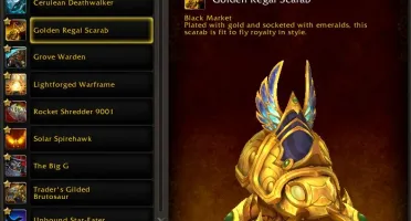Conta de WoW de 2013 (731 Montarias no total)