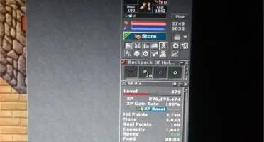 Paladin 379 zunera skill 118