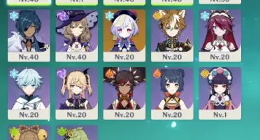 Xiao C1 + Bis Jade