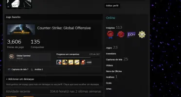 CONTA MAIN CS:GO / Steam