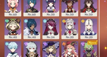 AR 56 - Ayato, Kokomi, Baal, Hutao, Ayaka + Armas T5