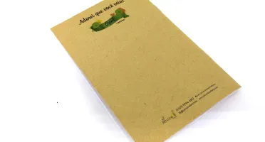 Kit Colorir Bosque com Sacolinha Kraft P