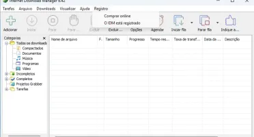 IDM - Internet Download Manager 6.42.22