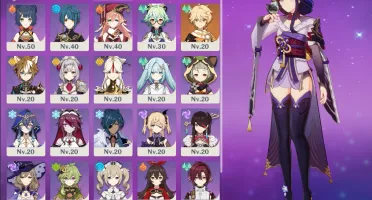 Nahida, Raiden, Mona c1, Ayato Ar37