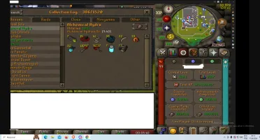 Conta Runescape Max Combat (Level Total 2167)
