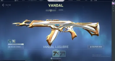 Conta valorant Prata , Mt Skin, skin de todas as armas!!!