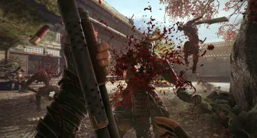 Xbox Shadow Warrior 2 #C49050