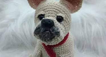 Cachorrinho Buldogue Francês