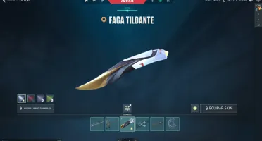 Valorant conta ASC (4 passes completos) + Skins + VPs + RPs