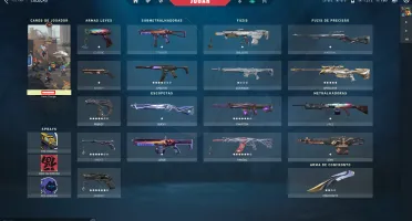 Valorant conta ASC (4 passes completos) + Skins + VPs + RPs
