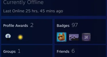 Conta steam LvL 100