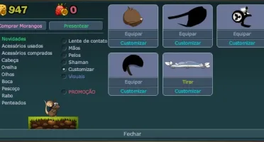 Conta transformice com vários itens