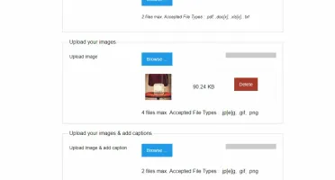 🚀 SaaS para Construtor de Formulários PHP com Drag & Drop!