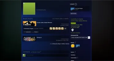 CONTA CS GO PRIME - LVL 17 GC + AMONG US