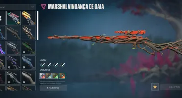 Conta Valorant | Karambit + Vandal + Phantom | Imortal