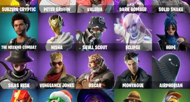 FORTNITE 20 skins, Subzero Cryptic - PC
