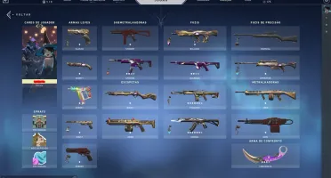 Conta Valorant Ouro 1/2 + skins