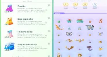 Pokemon Go conta level 36