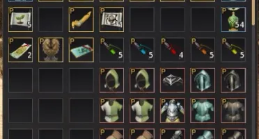 Black Desert SA mago 62 succ 559gs Email pessoal
