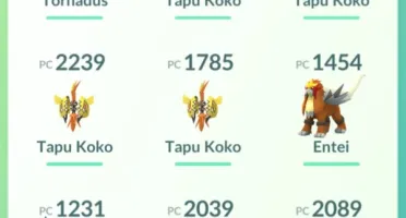 ACC POKEMON GO NV41