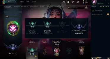 Conta platina IV