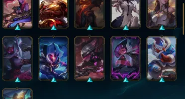 Conta platina IV