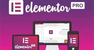 Elementor Pro WordPress Page Builder
