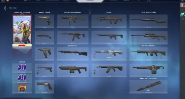 Conta Valorant com phantom ion e butterfly + 1k de vp