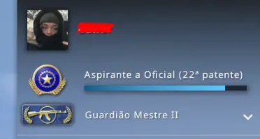 Conta Steam CSGO Prime AK2