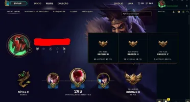 CONTA PRATA 2, 65 CHAMPS, 15 SKINS